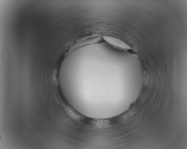 X0000071900670200608041344