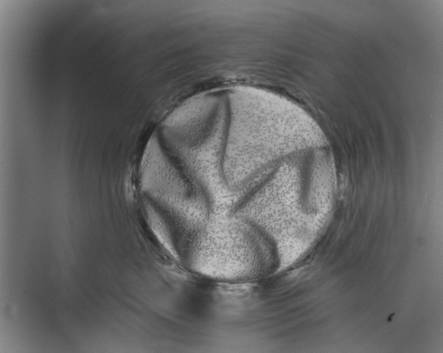 X0000071900671200608041344