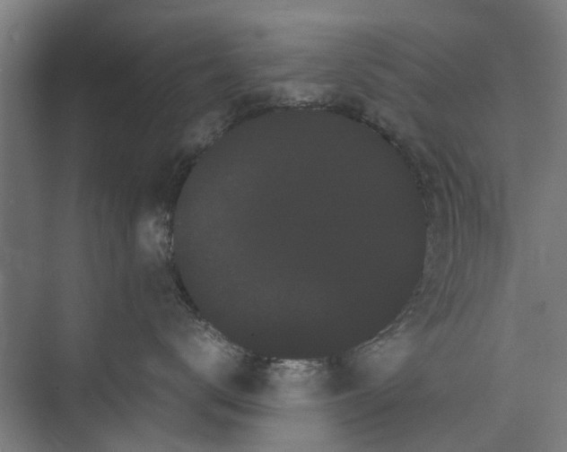 X0000071900672200608041344