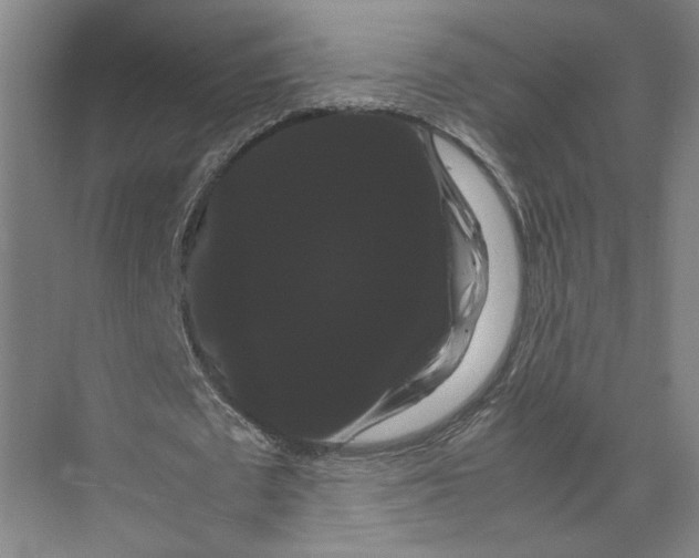 X0000071900673200608041343