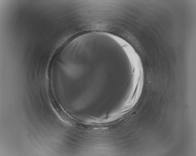 X0000071900674200608041343