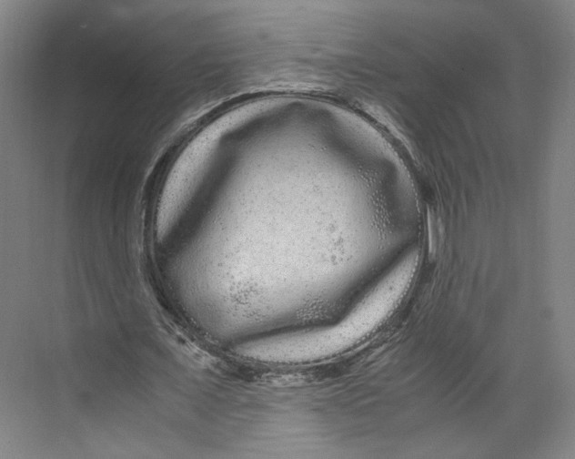 X0000071900675200608041343