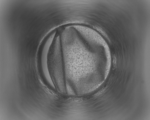 X0000071900676200608041343