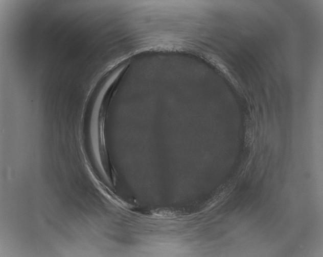 X0000071900677200608041343