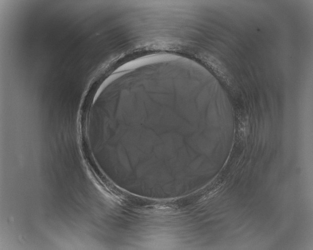 X0000071900678200608041343