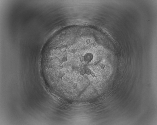 X0000071900679200608041343