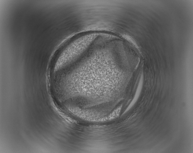 X0000071900680200608041343