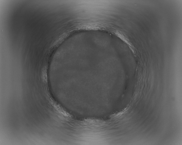 X0000071900681200608041343