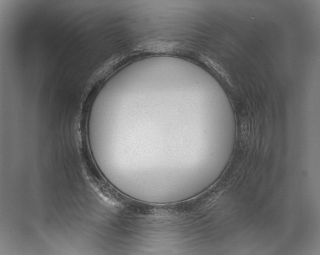 X0000071900682200608041343