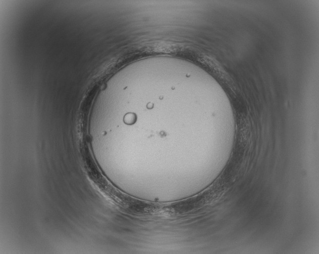 X0000071900683200608041343