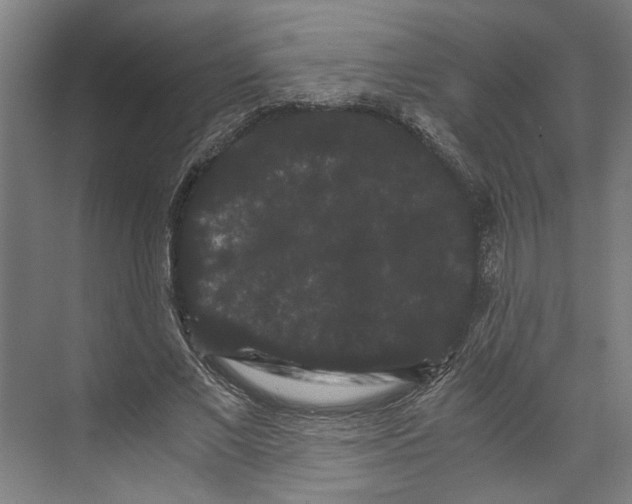 X0000071900685200608041343