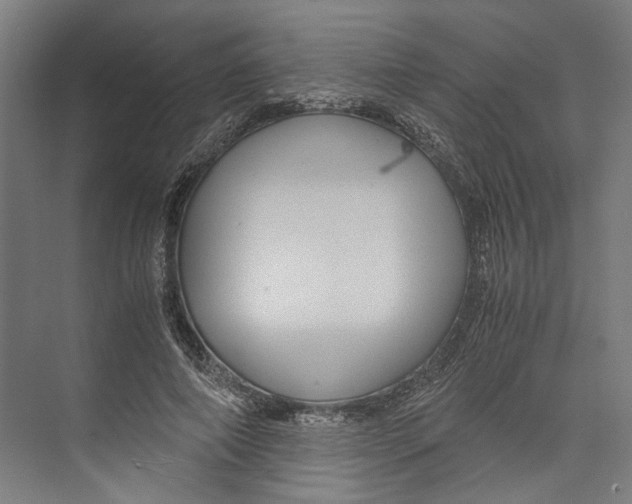 X0000071900690200608041343