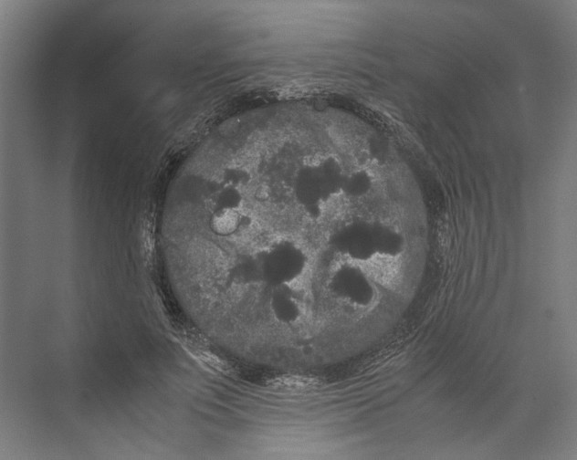 X0000071900691200608041343