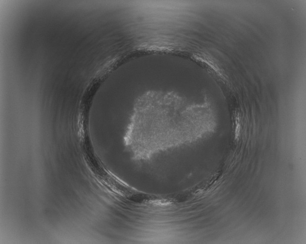 X0000071900692200608041343