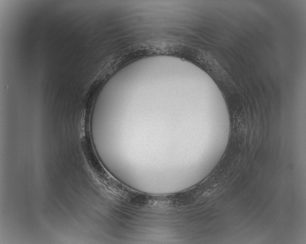 X0000071900694200608041343