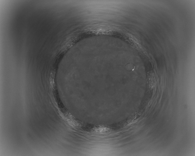 X0000071900695200608041343