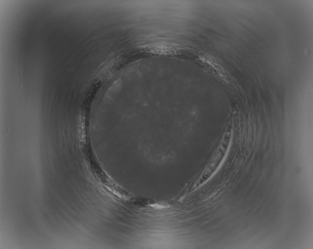 X0000071900696200608041343