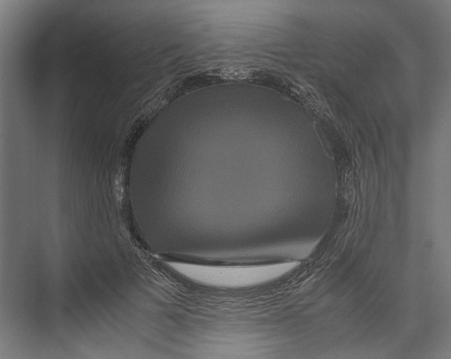 X0000071900697200608041343