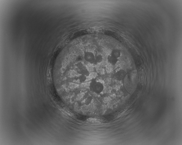 X0000071900699200608041343