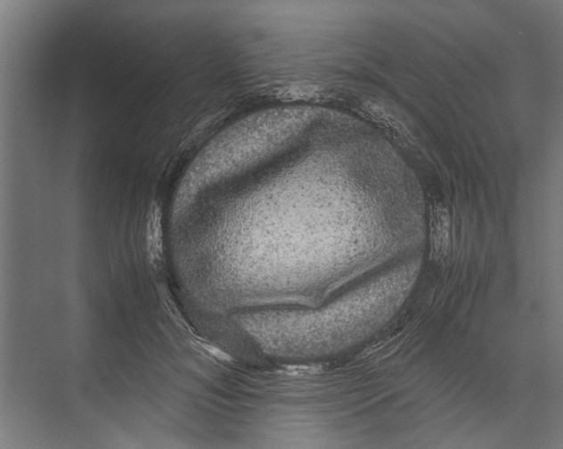 X0000071900700200608041343