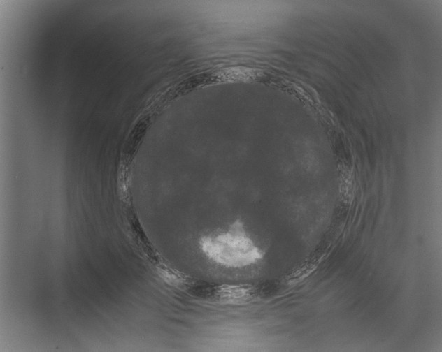 X0000071900701200608041343