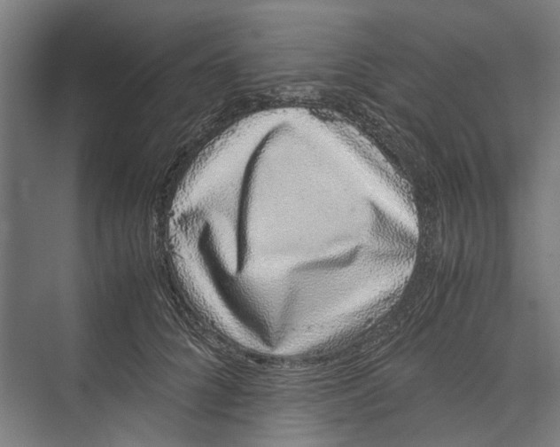 X0000071900704200608041343