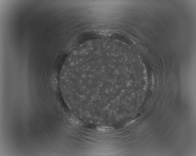 X0000071900707200608041343