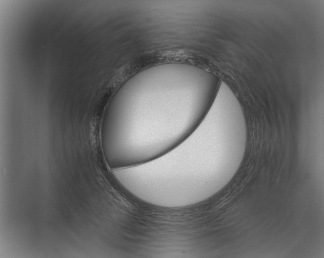 X0000071900708200608041343