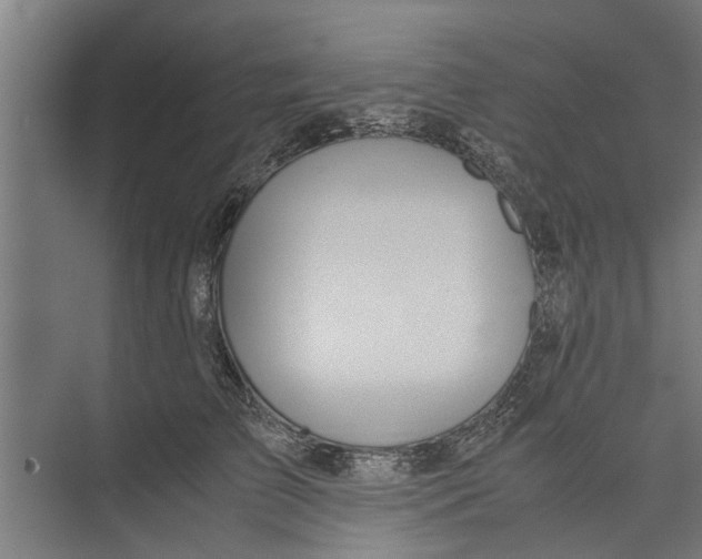 X0000071900709200608041343