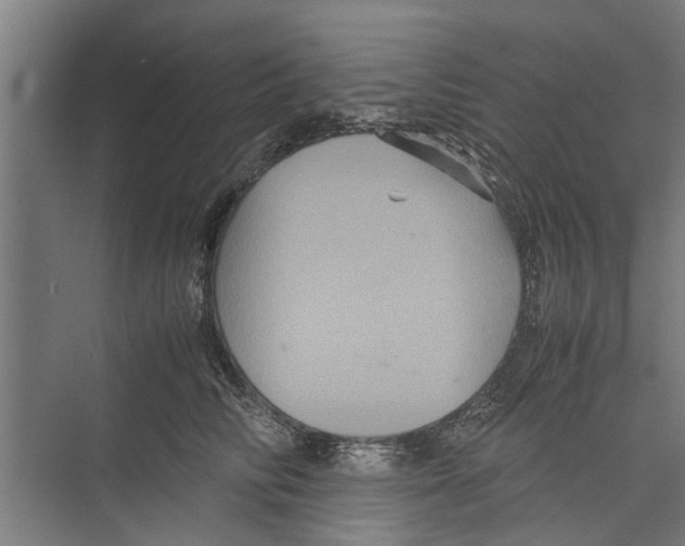 X0000071900710200608041343