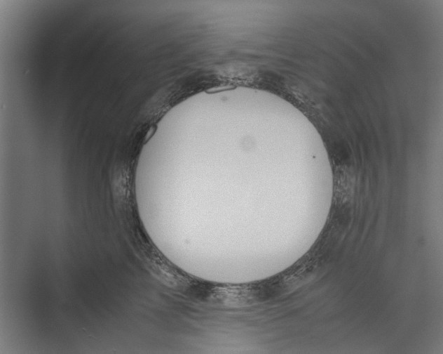 X0000071900713200608041343