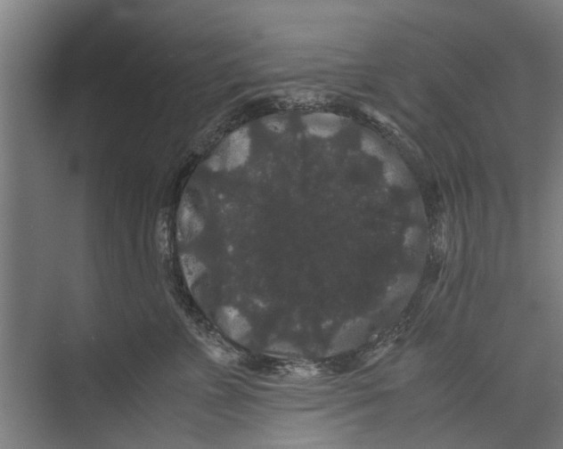 X0000071900715200608041343