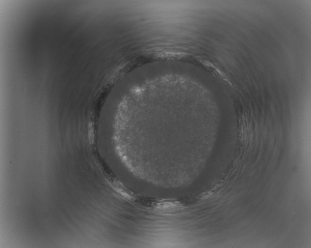 X0000071900716200608041343