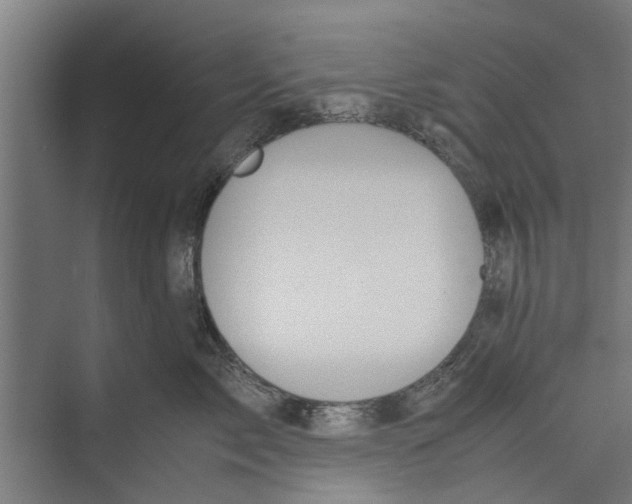 X0000071900717200608041343