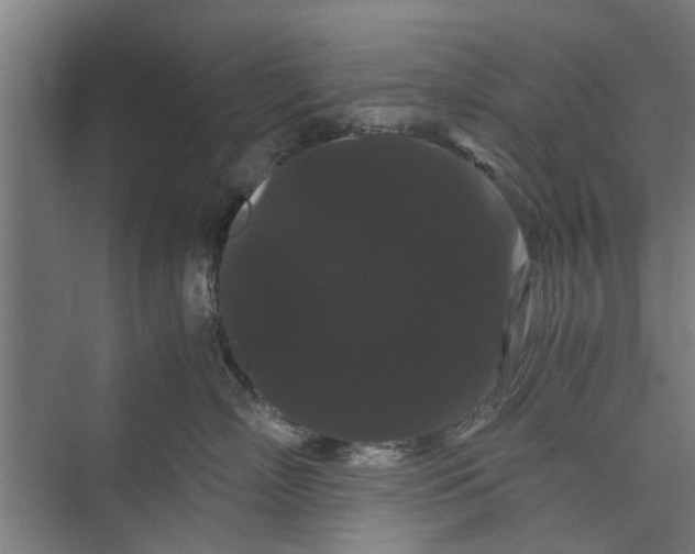 X0000071900718200608041343