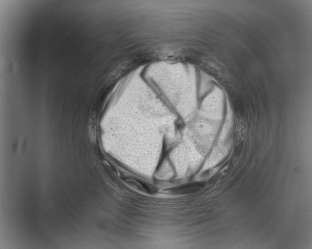 X0000071900719200608041343