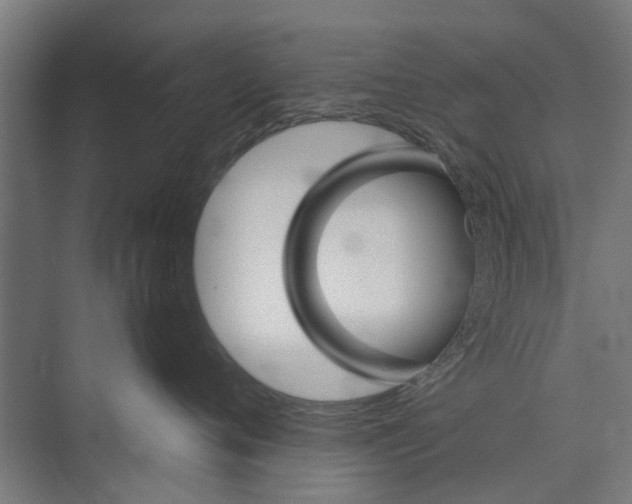 X0000071900720200608041343