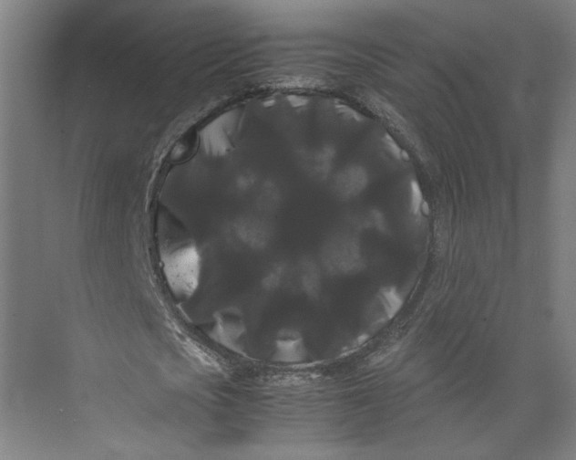 X0000071900721200608041342