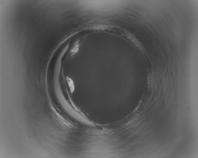 X0000071900722200608041342