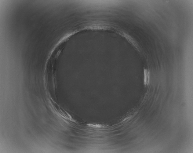 X0000071900723200608041342