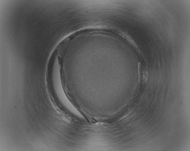 X0000071900724200608041342