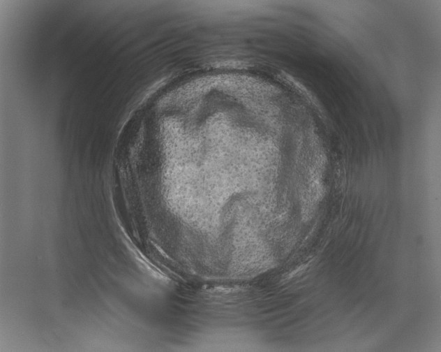 X0000071900725200608041342