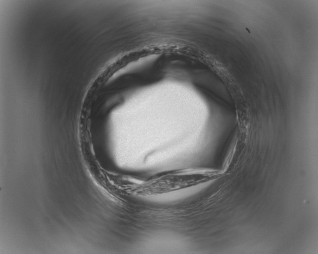 X0000071900726200608041342