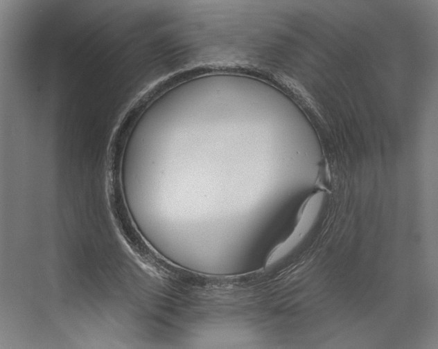 X0000071900728200608041342