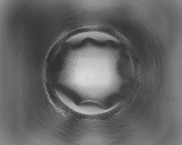 X0000071900730200608041342