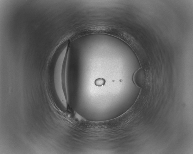 X0000071900731200608041342