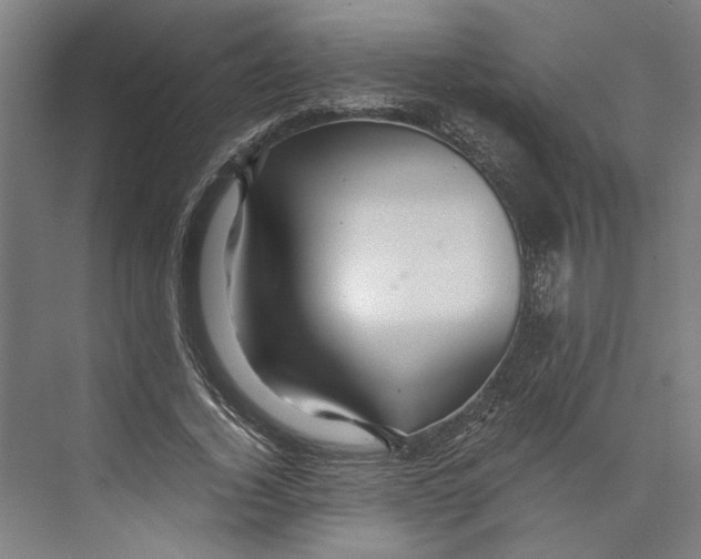 X0000071900732200608041342