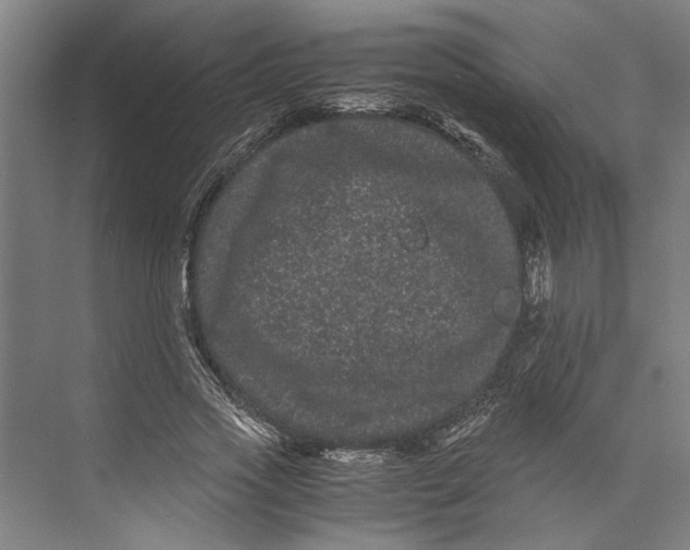 X0000071900733200608041342