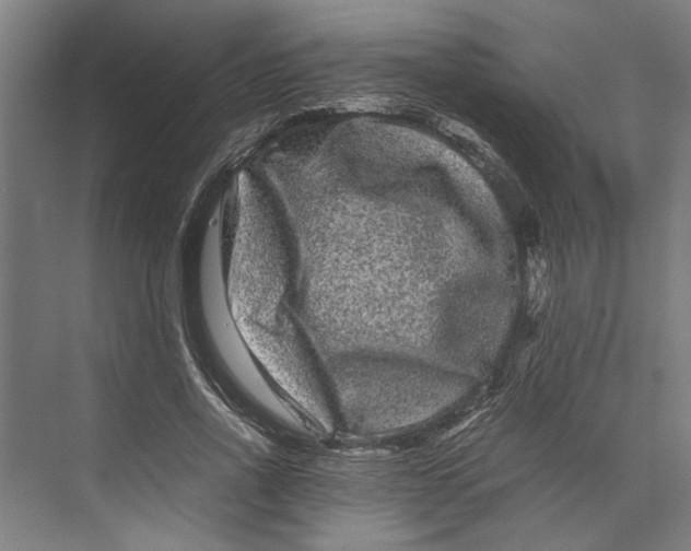 X0000071900734200608041342