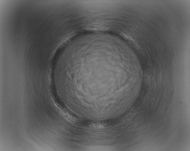 X0000071900735200608041342